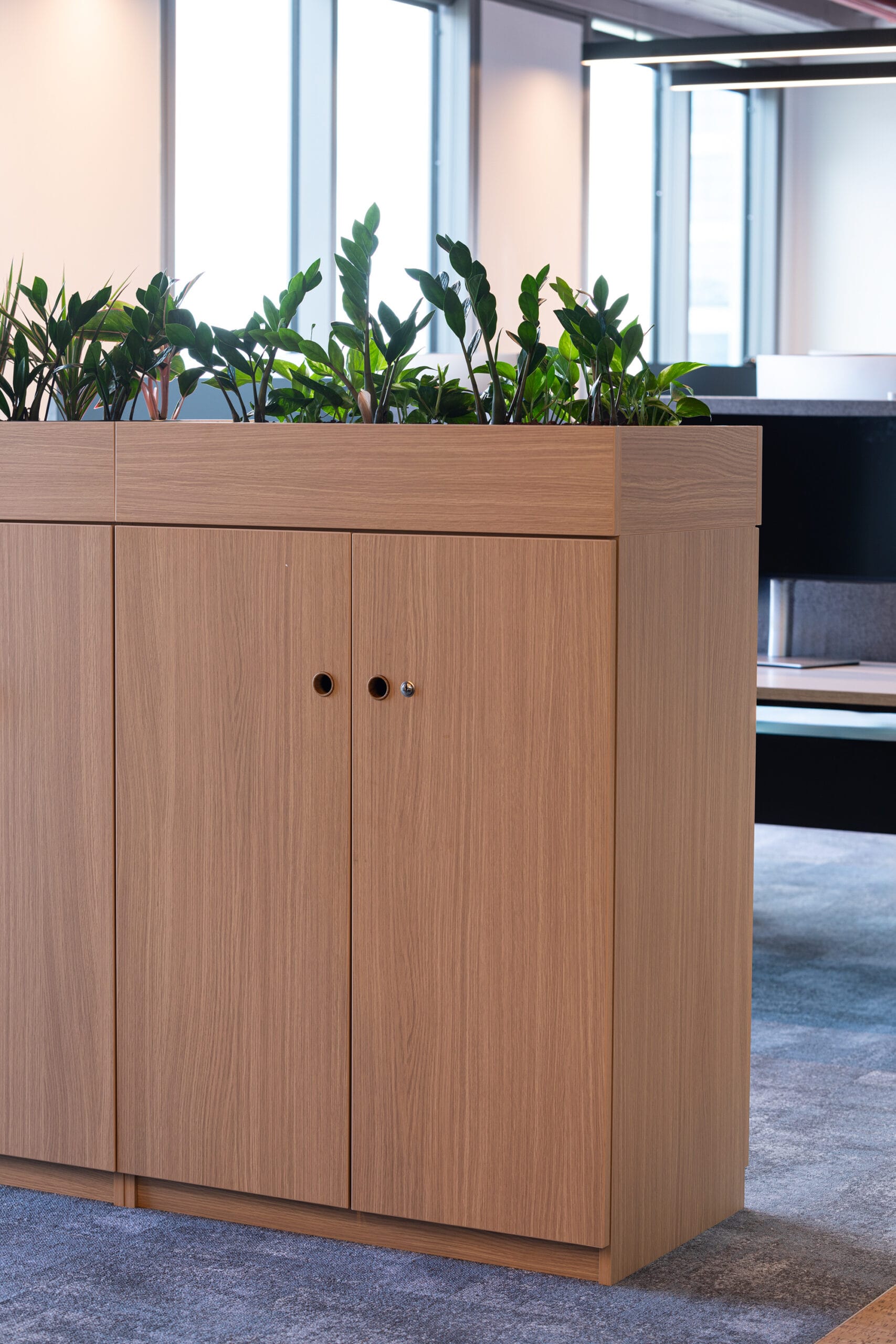 American_0K5A0255-1-scaled-3