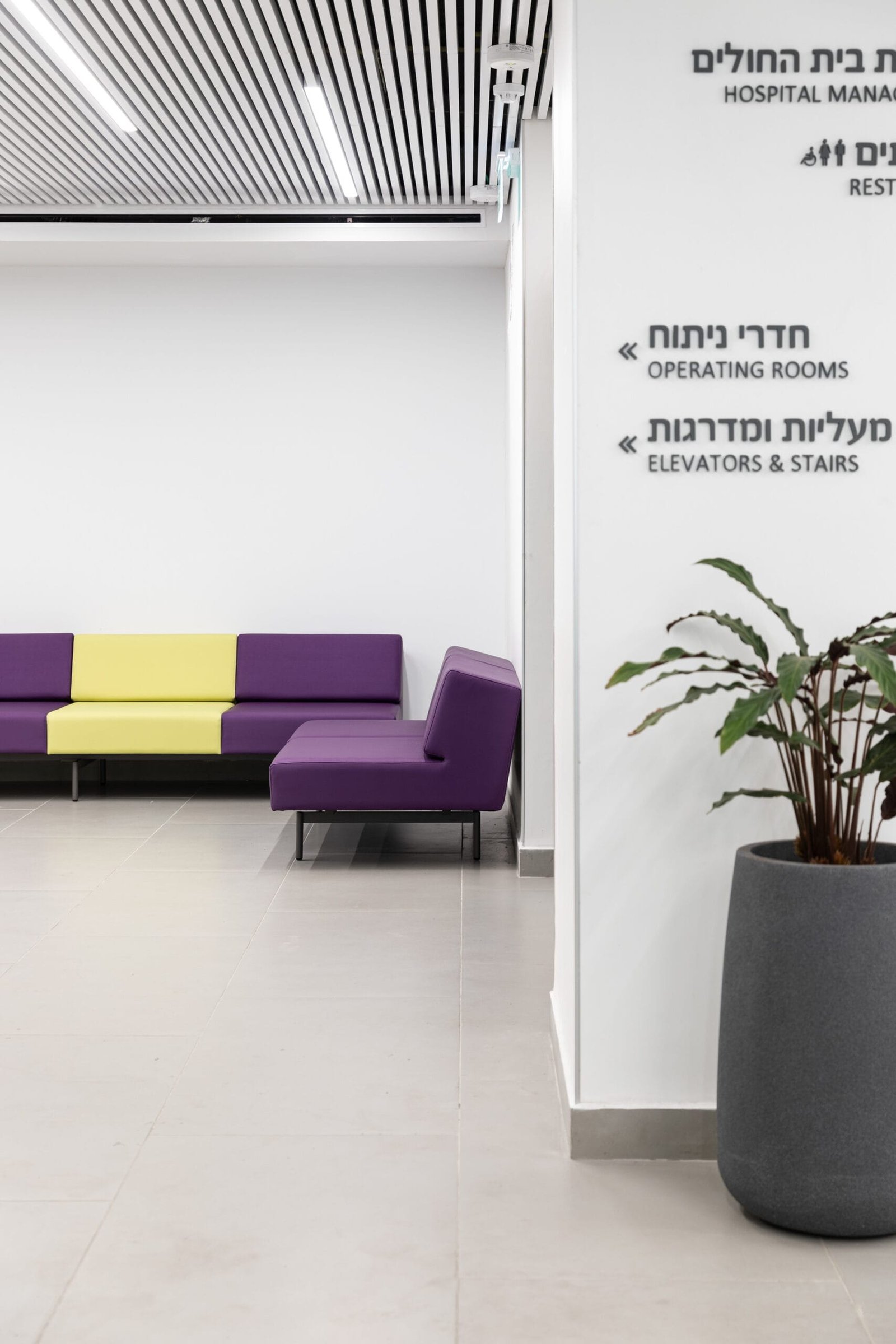 Elisha_0K5A5440-scaled-1