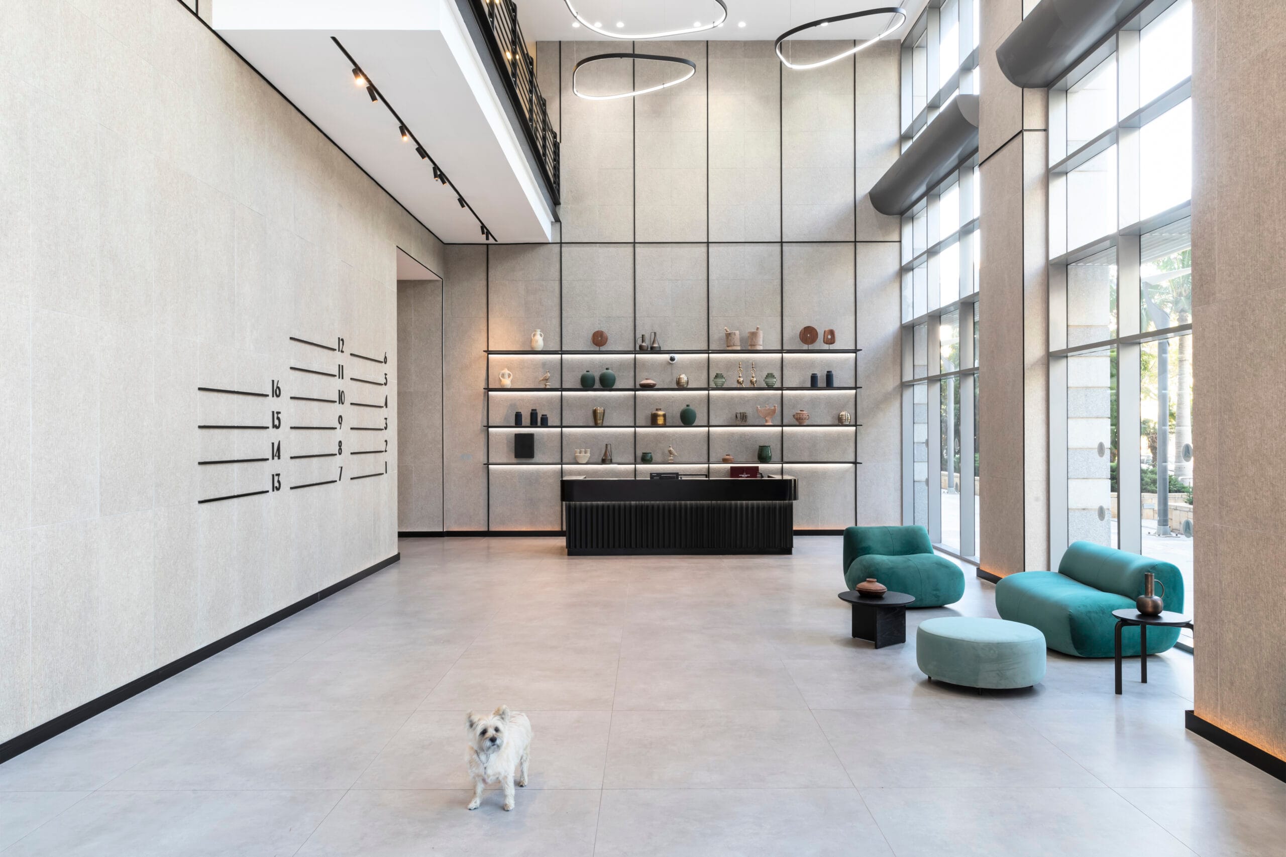 Isras_Adi_0K5A1433_Dog-2-scaled-2