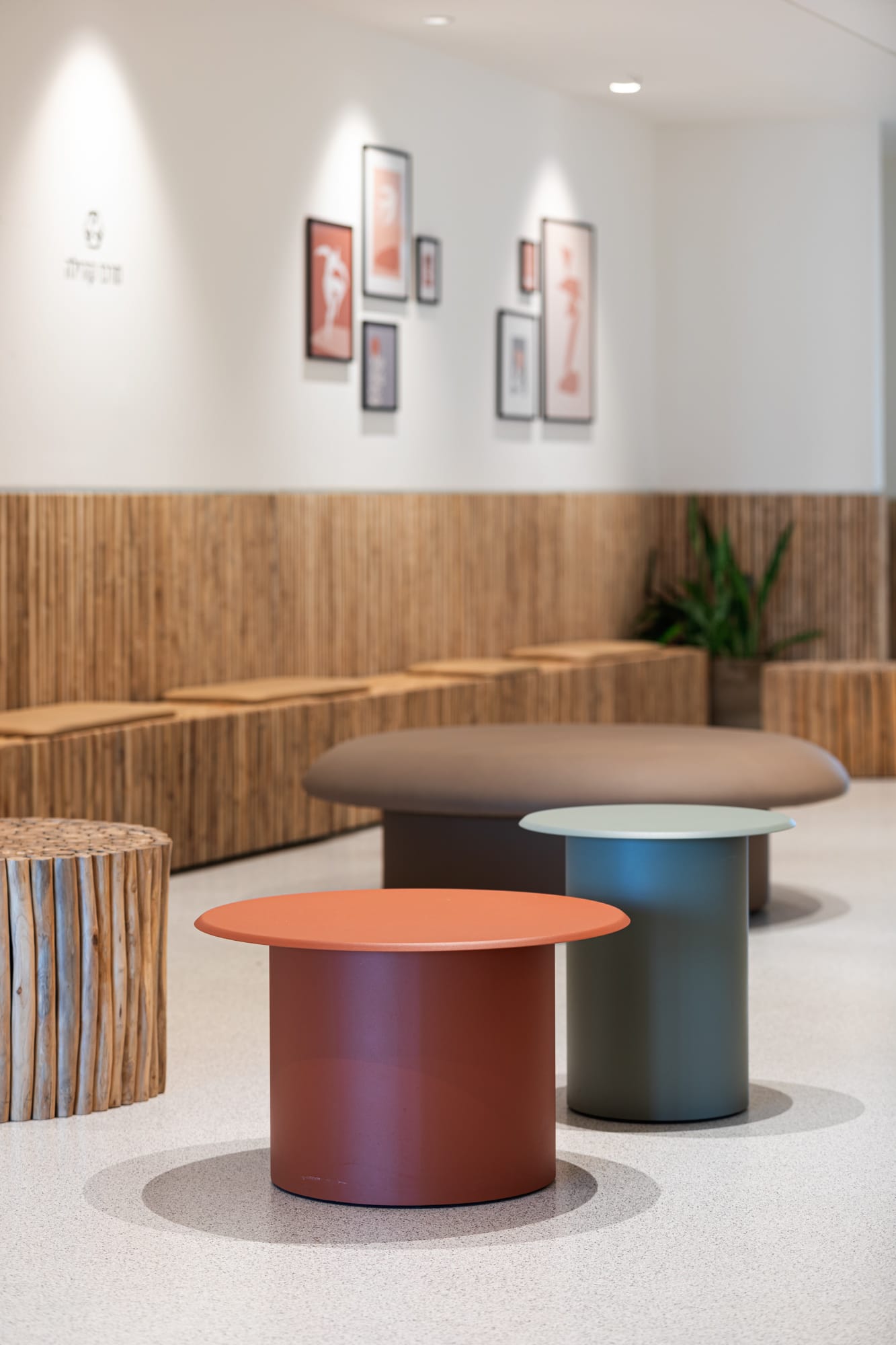 Meteor_Feb_0K5A7642-4