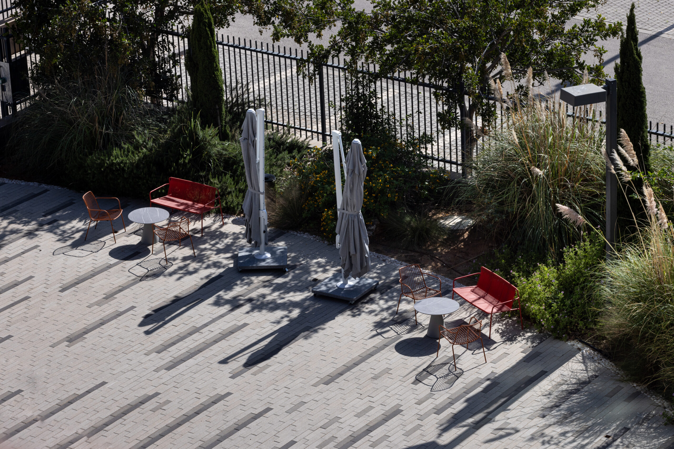 Sap_0M4A3390-scaled-1