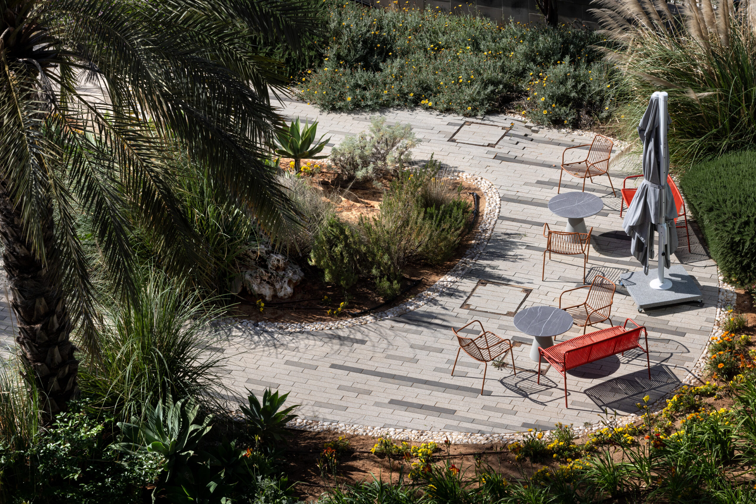 Sap_0M4A3392-scaled-1