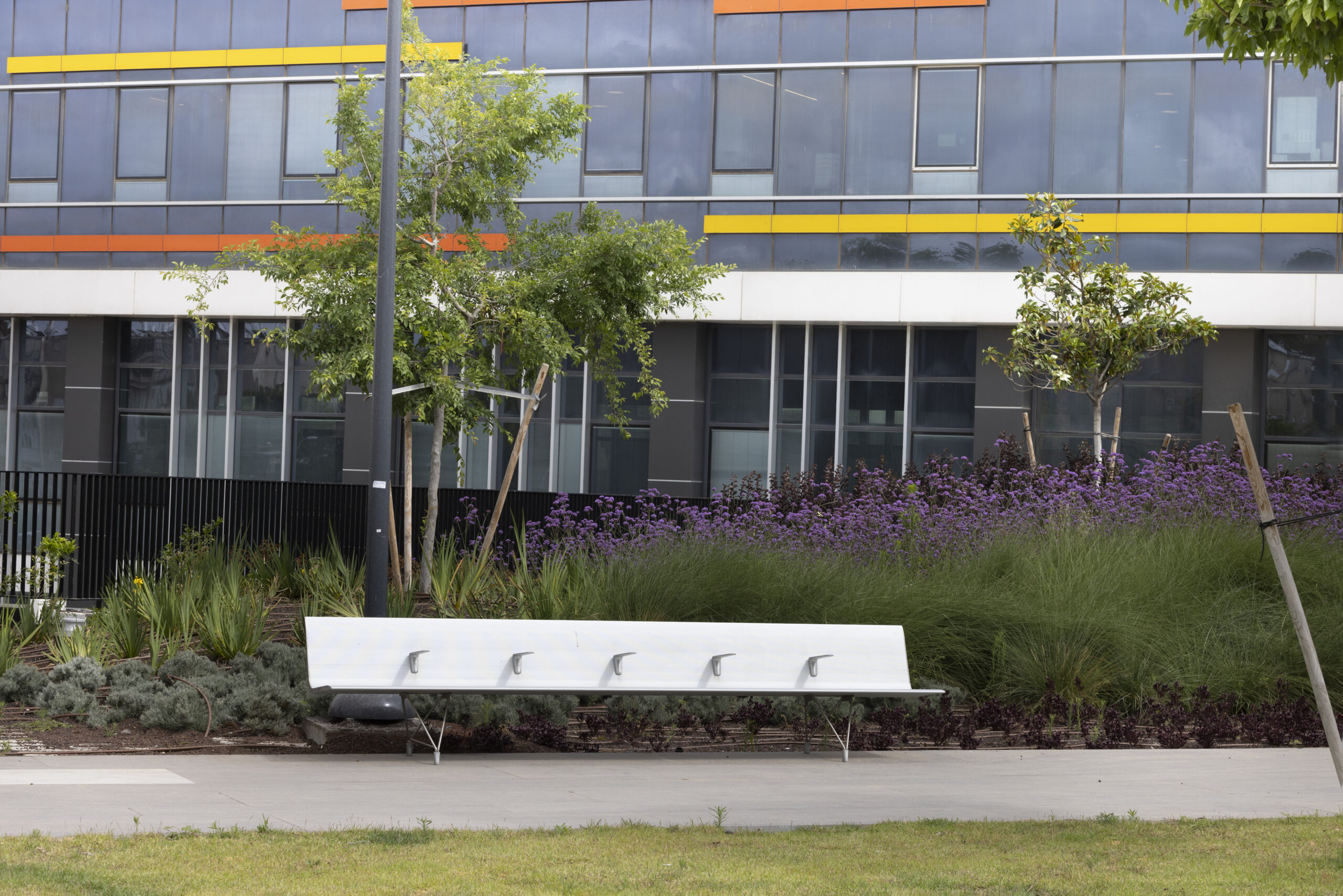 Shnider_benches_0M4A3671-scaled-1