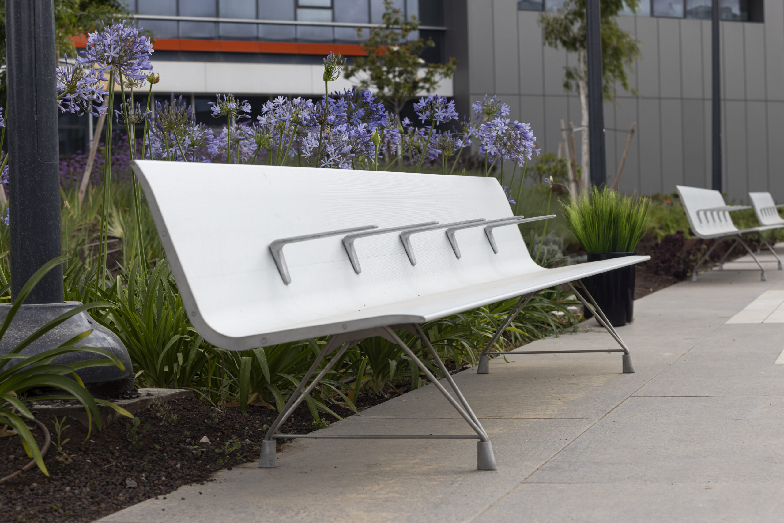 Shnider_benches_0M4A3682-scaled-1
