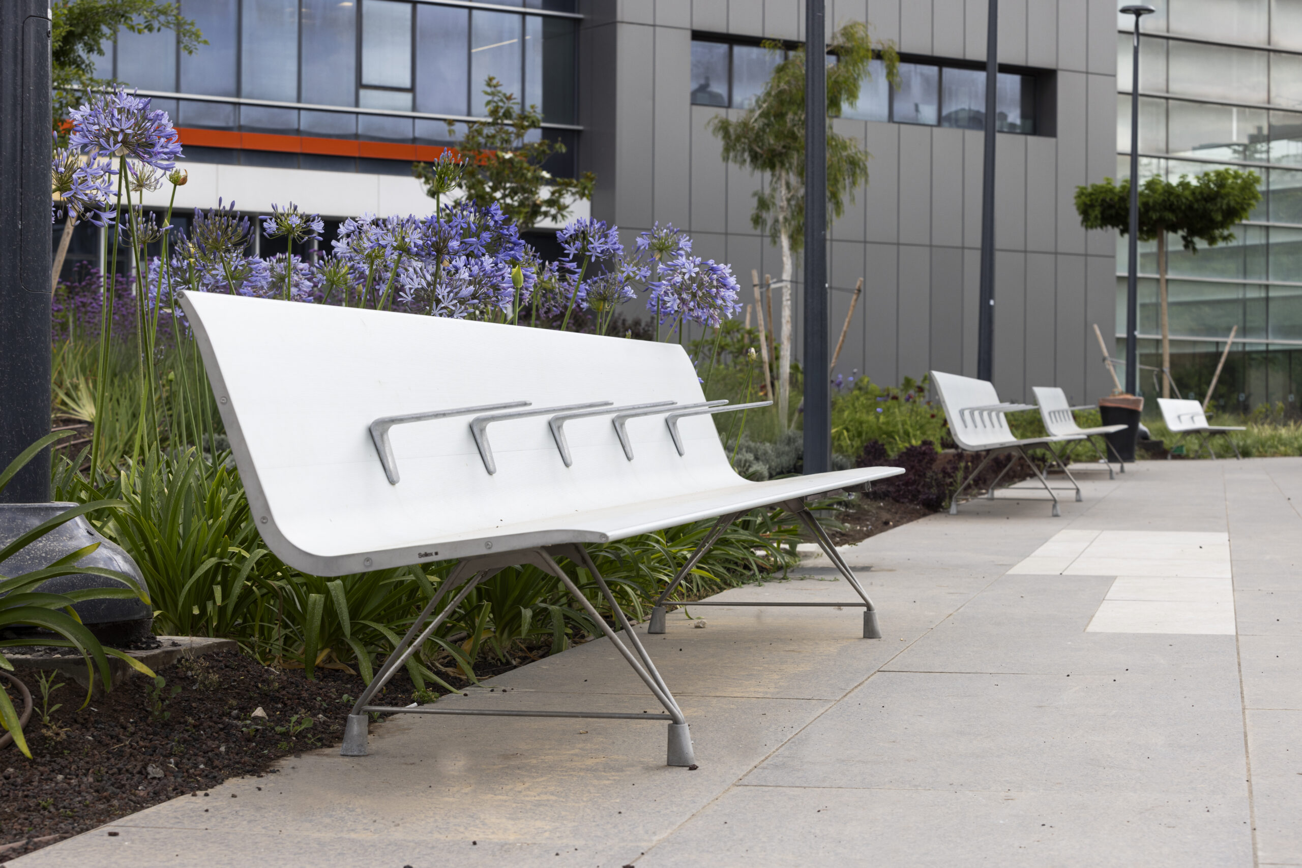 Shnider_benches_0M4A3692-1-scaled-1