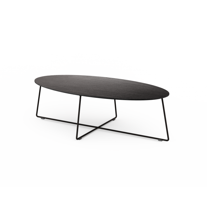 Fly coffee table
