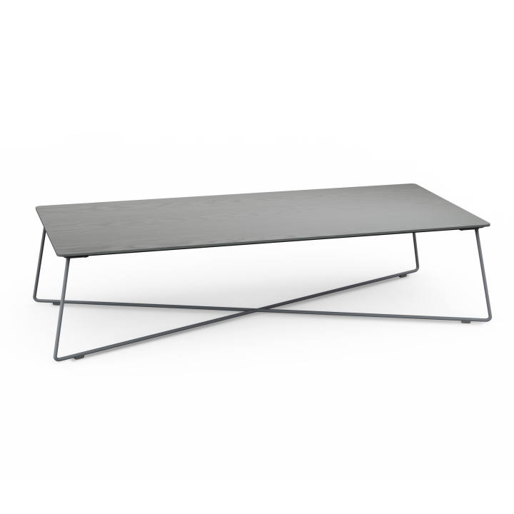 Fly coffee table