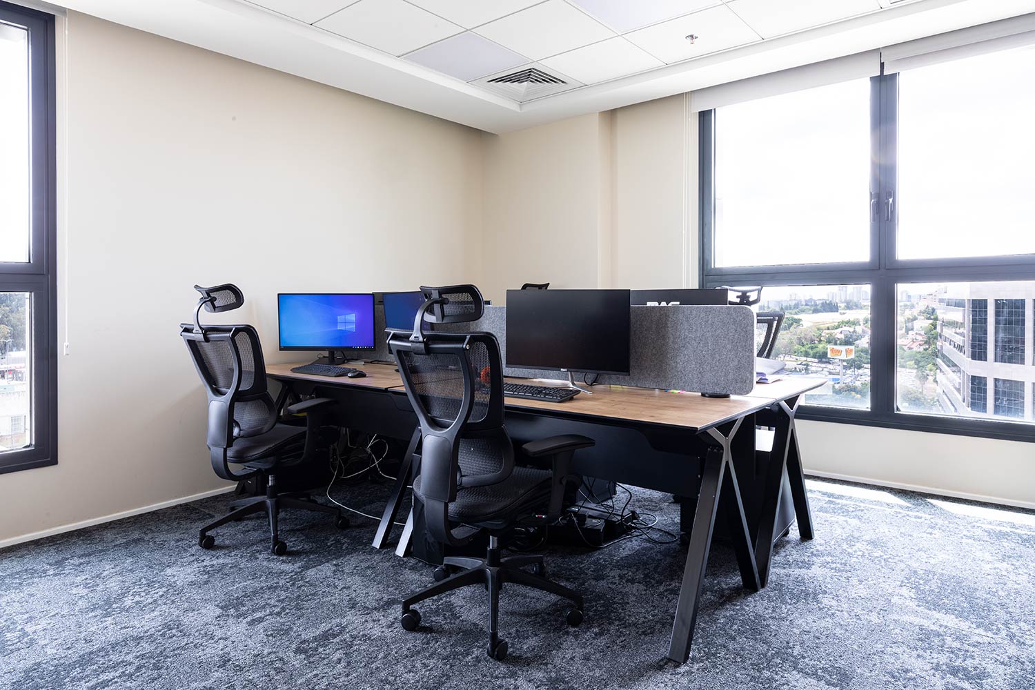 nature bench+מחיצות פיטרו