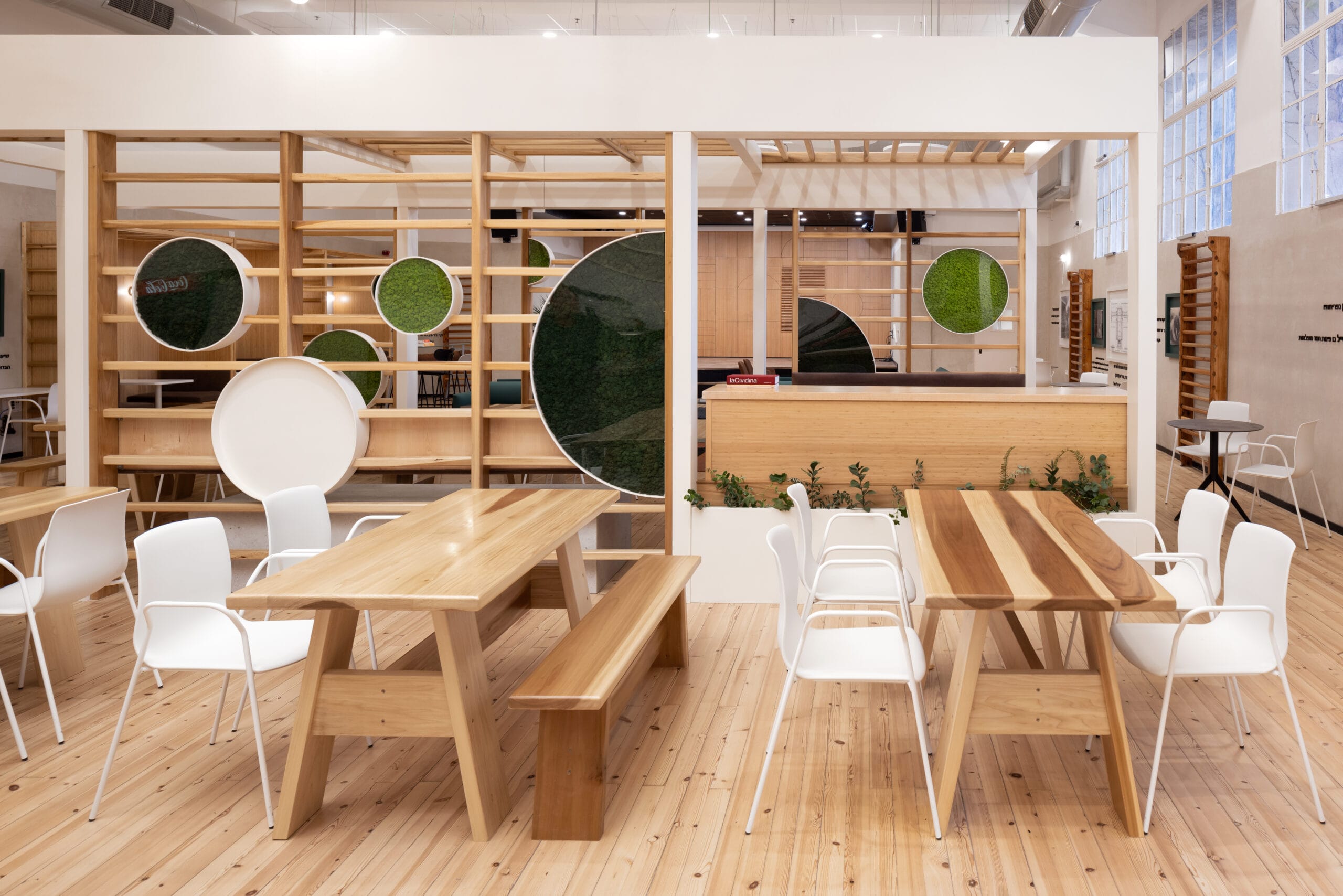 noom50-actiu-3-scaled-3