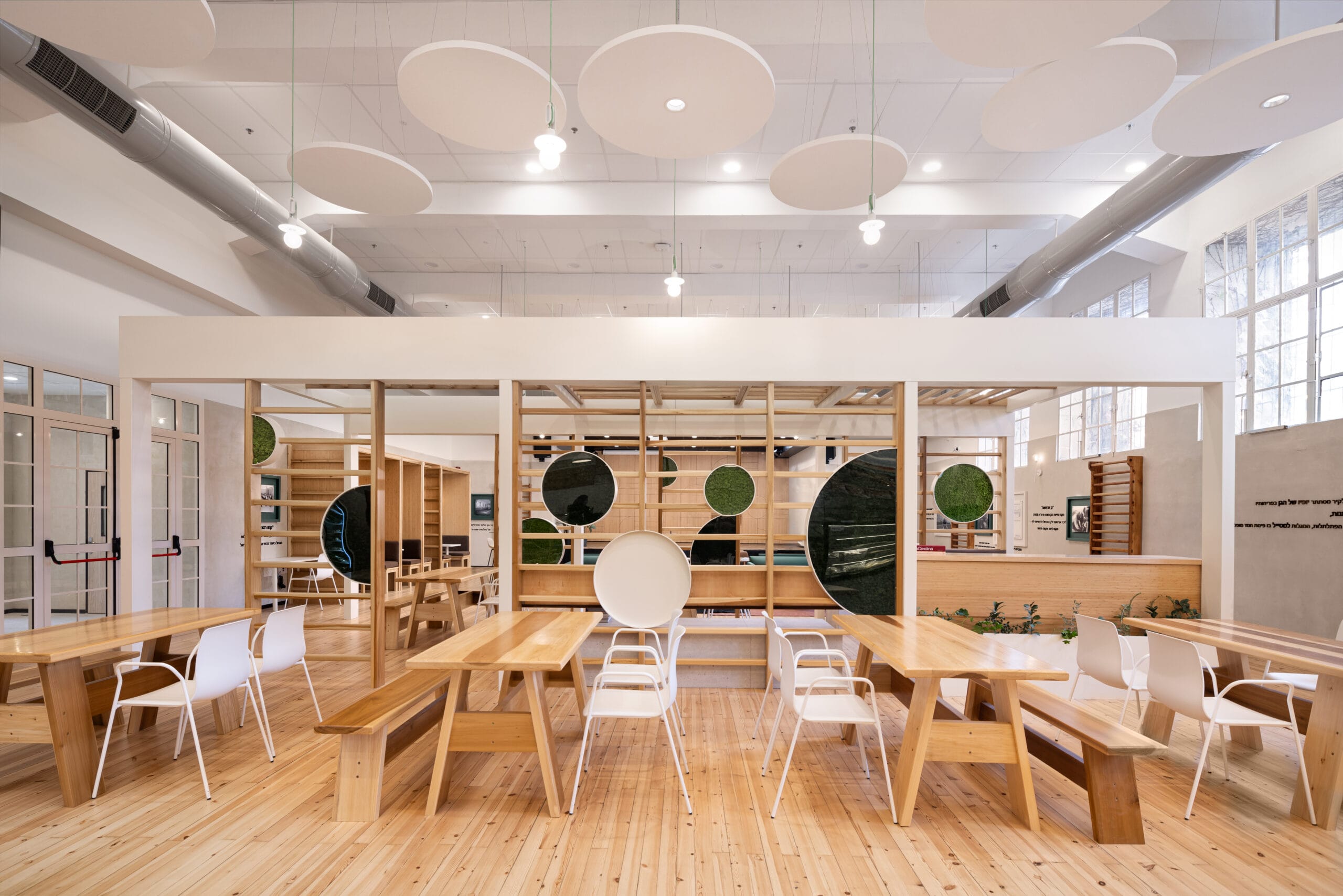 noom50-actiu-scaled-3