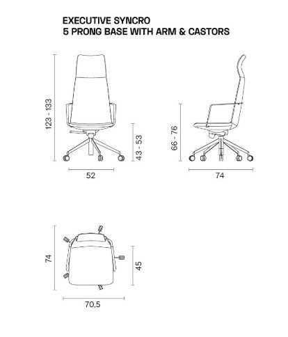zone executive מידות