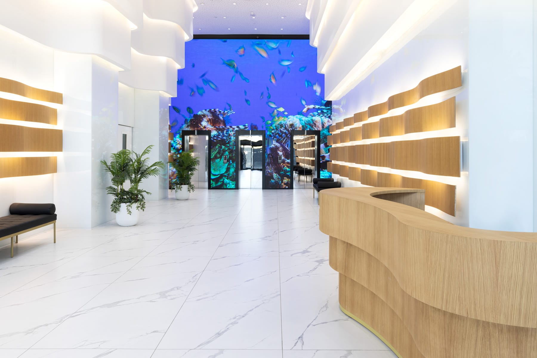 דלפקספסל-בייצור-מקומי-פיטרו-2