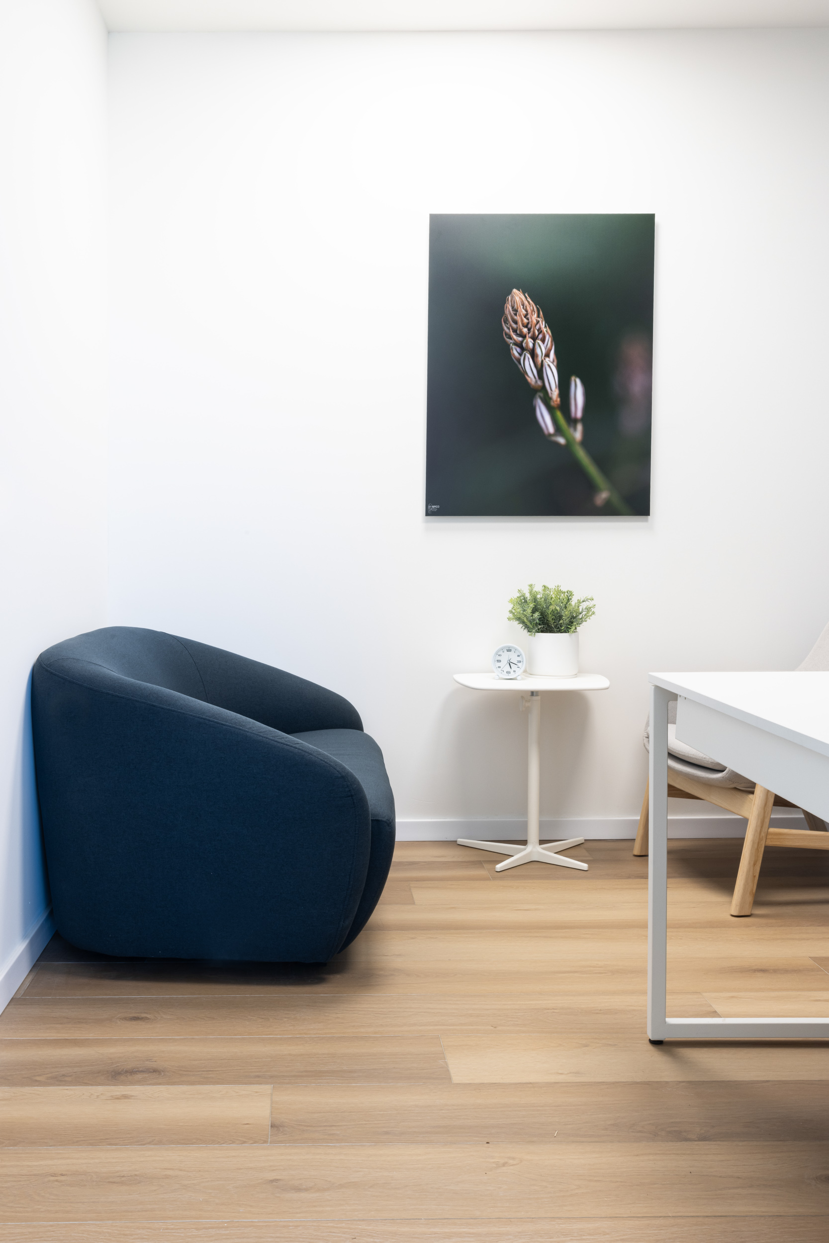 BOB ספה בייצור מקומי+diego table by Pedrali (2)