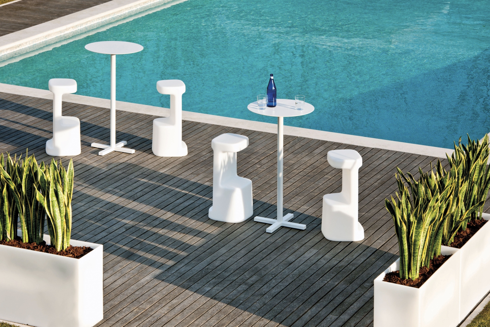 bold-serif-gallery-01